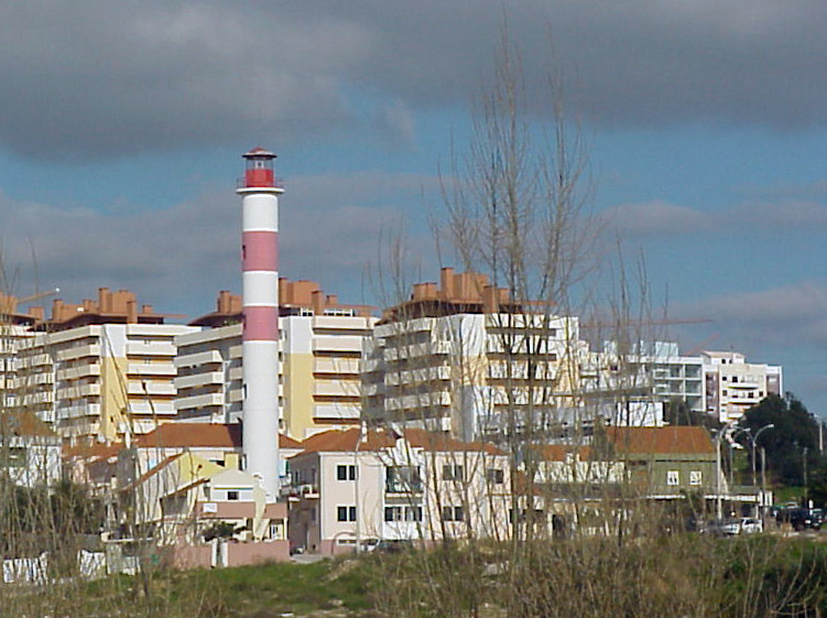 Azeda-1.jpg