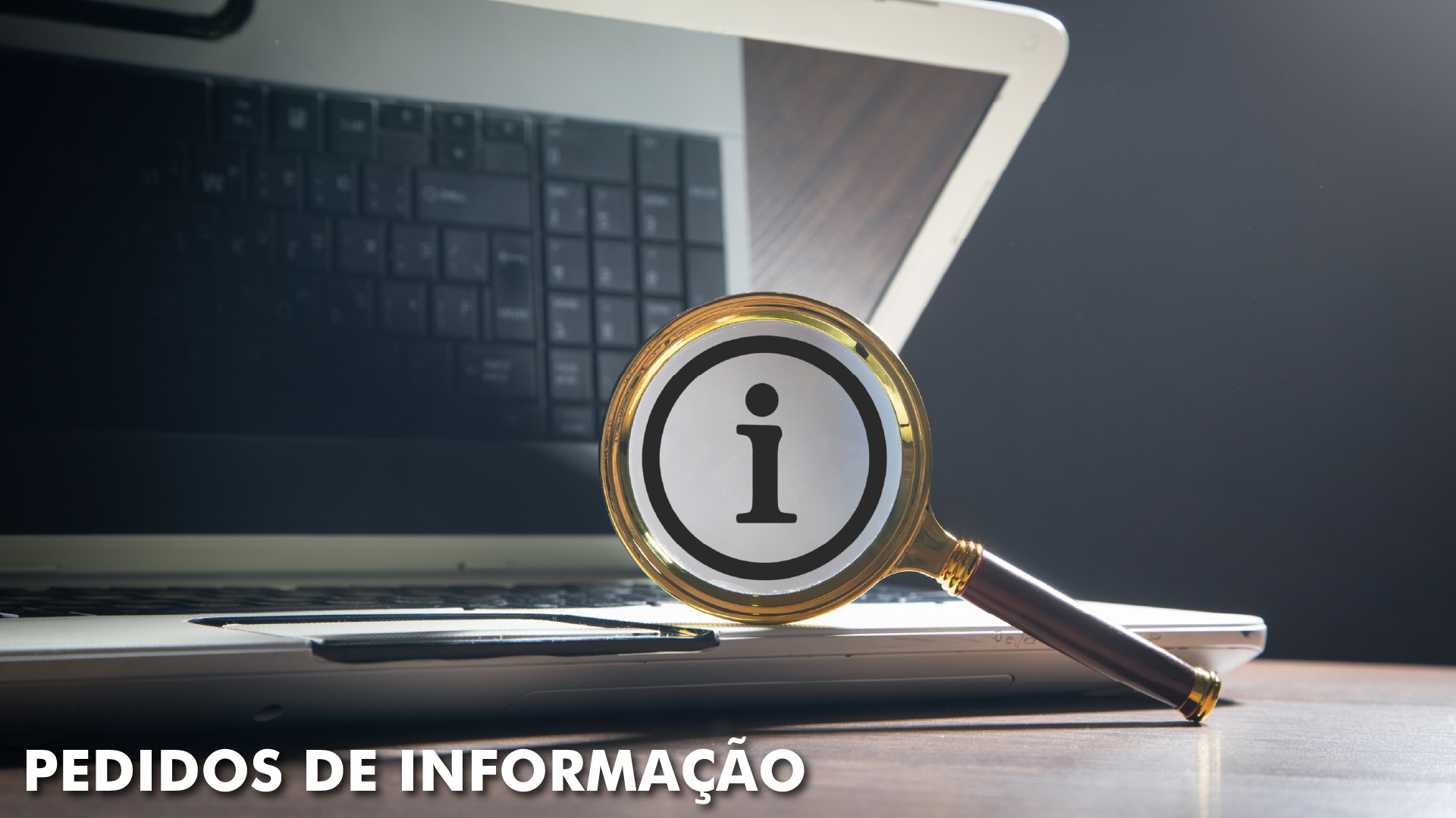 2_Pedidos_de_informacao.jpg