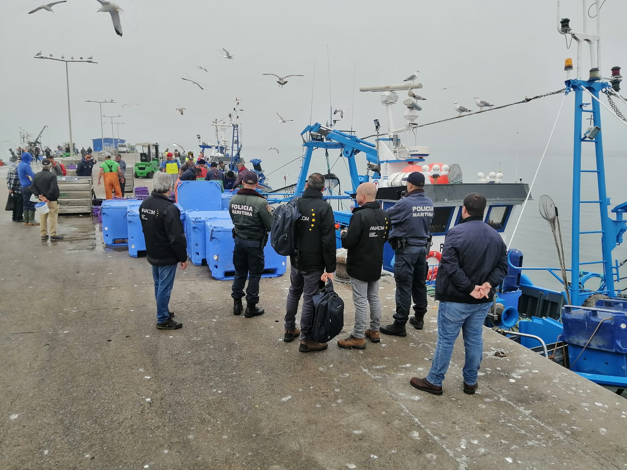 Ação de fiscalização conjunta no porto de pesca de Matosinhos