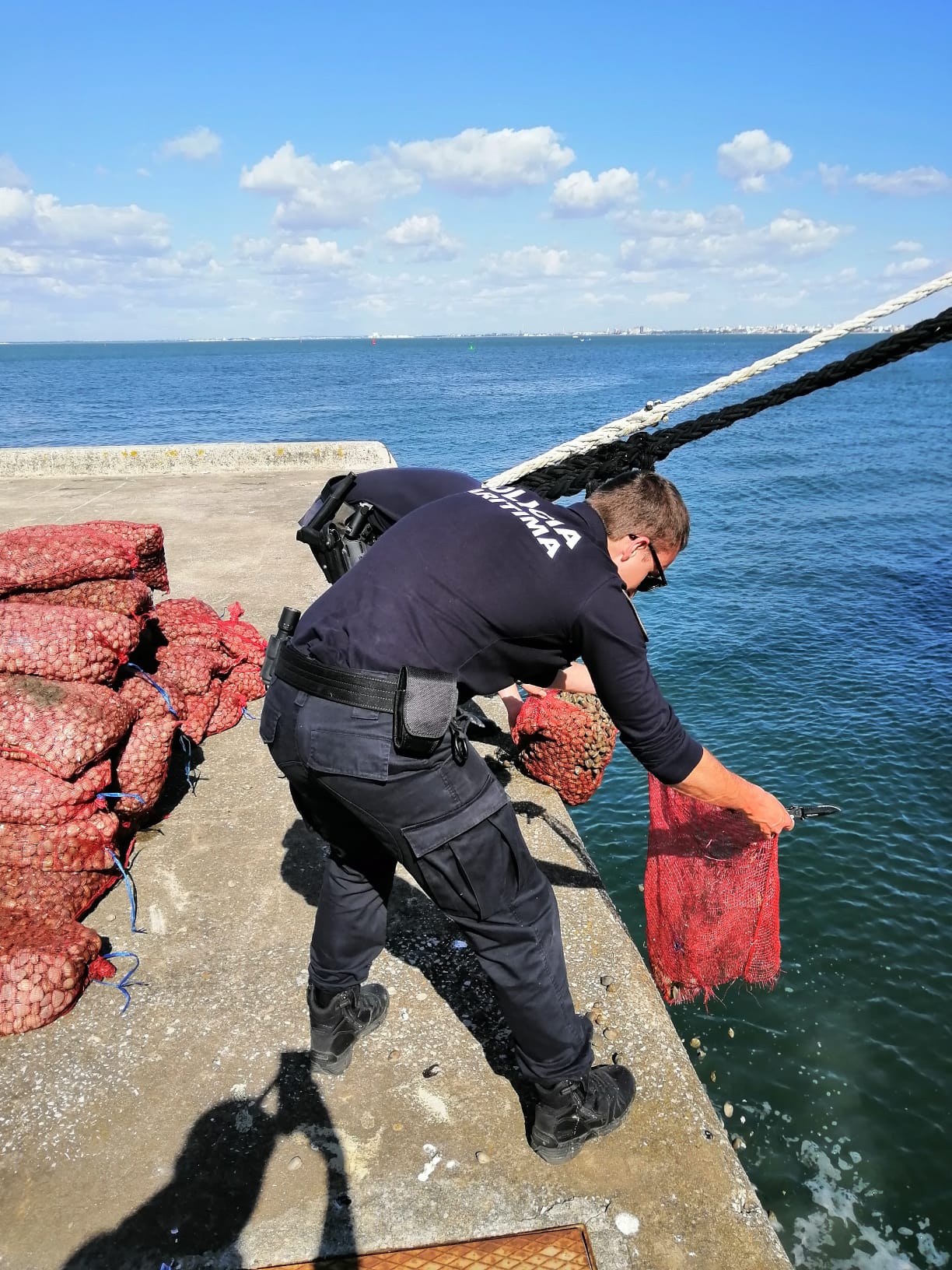Elementos da Polícia Marítima a devolver amêijoa japónica ao habitat natural