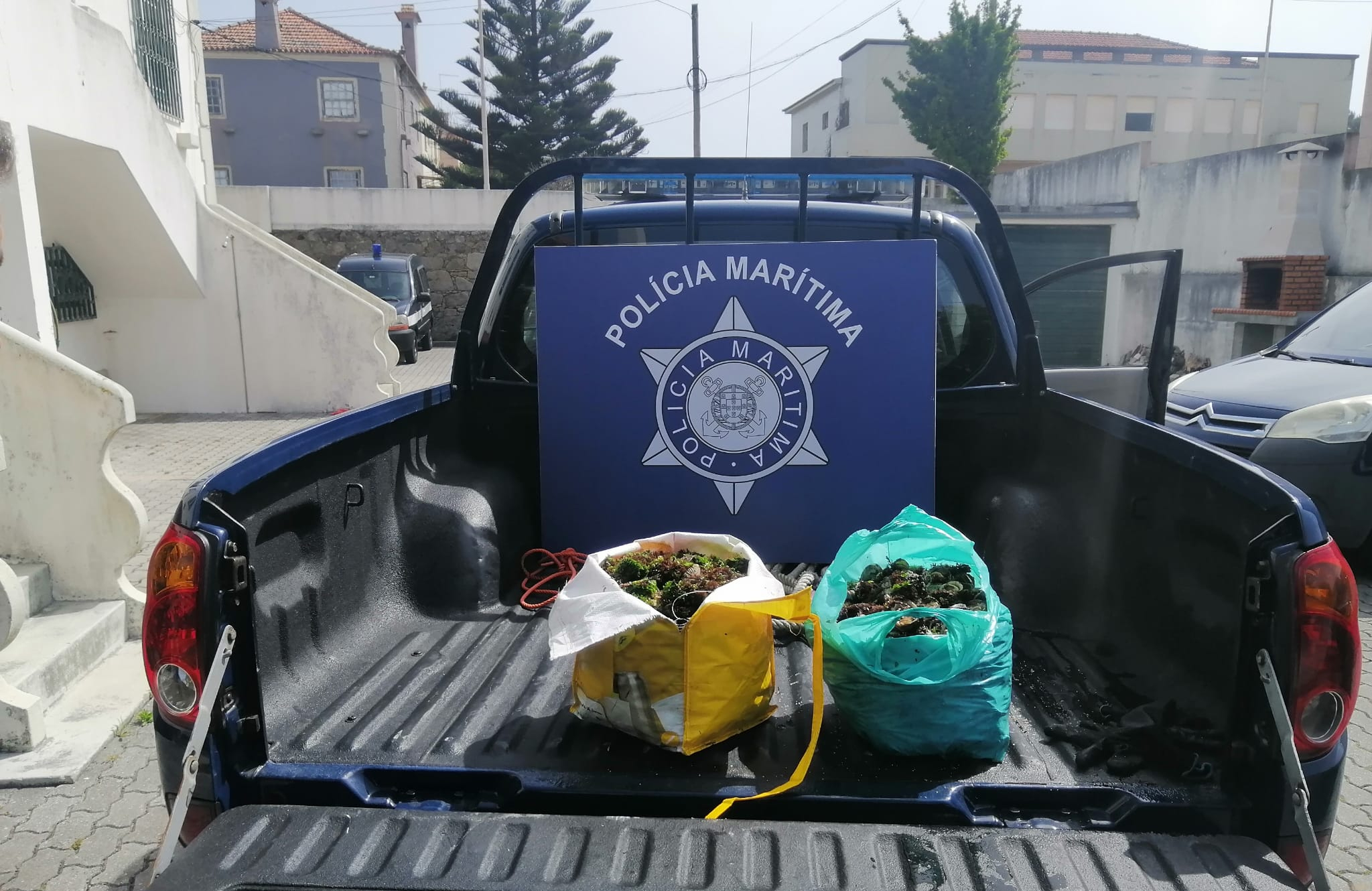 Apreensão de 30kg de lapas