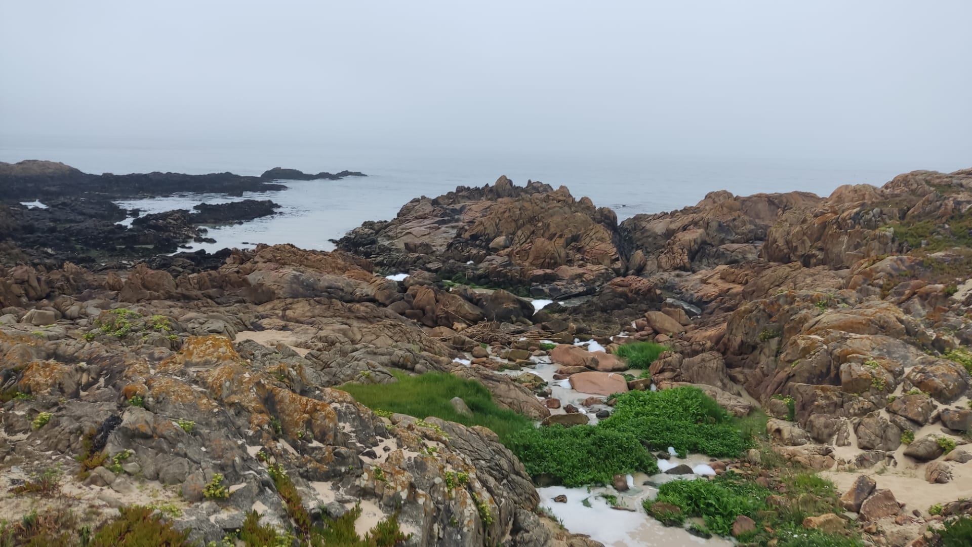 Praias de Matosinhos desaconselhadas à prática balnear