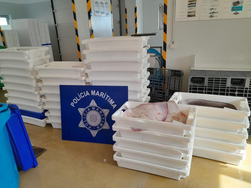 400kg de pescado apreendido pela Polícia Marítima