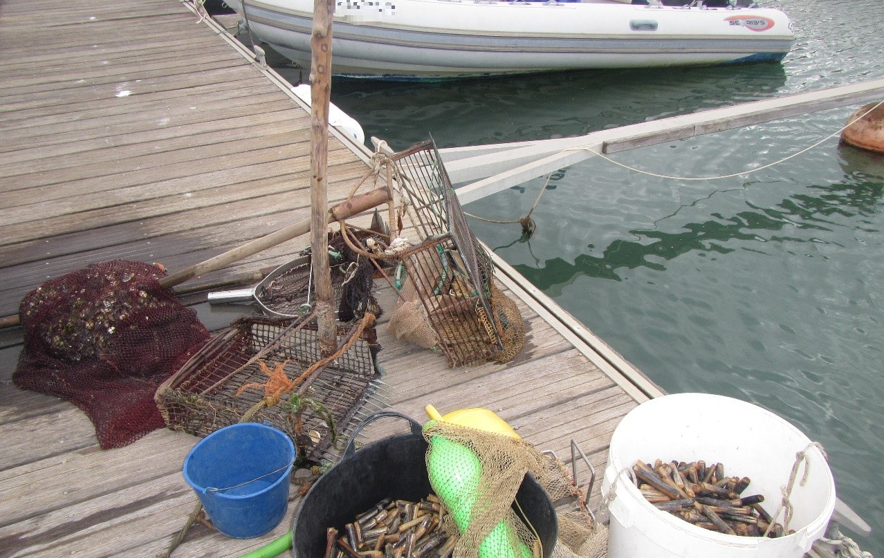 Apreensão de bivalves e artes de pesca