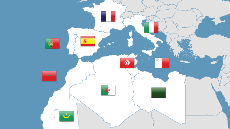 Integrantes da inciativa 5 + 5