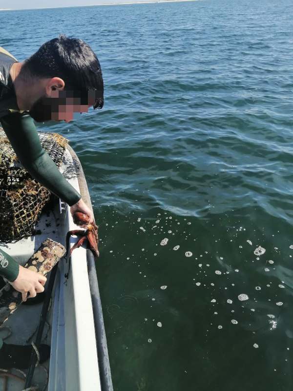 Pescado apreendido foi devolvido ao seu habitat natural